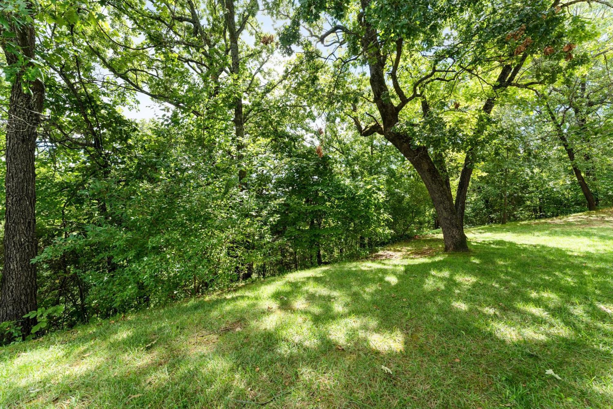 Bluffs Oasis Condo Branson Dış mekan fotoğraf